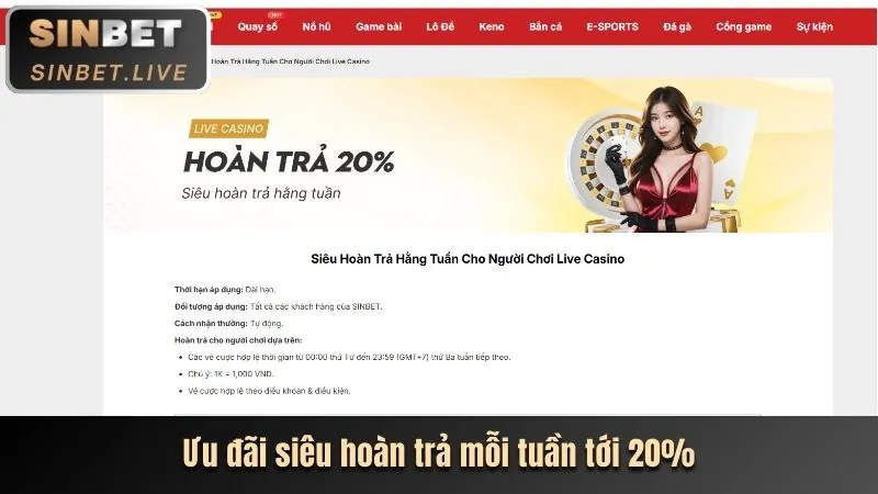 Chơi có trách nhiệm tại zebet casino